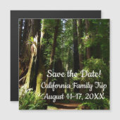 Carte Magnétique Les séquoias et les fougères du parc national Redw (Devant / Derrière)