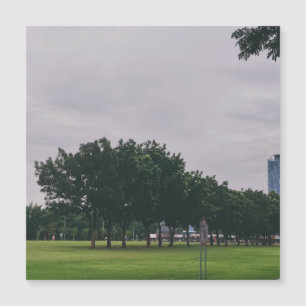 Carte Magnétique Ligne verte