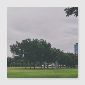 Carte Magnétique Ligne verte