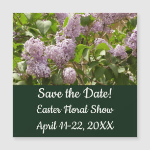 Carte Magnétique Lilac Bush Belles fleurs de printemps violettes