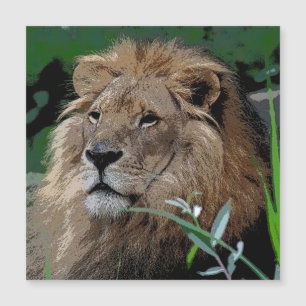 Carte Magnétique Lion20150805