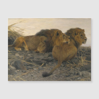 Carte Magnétique Lions à la veille par Wilhelm Kuhnert