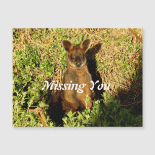 Carte Magnétique Little Wallaby