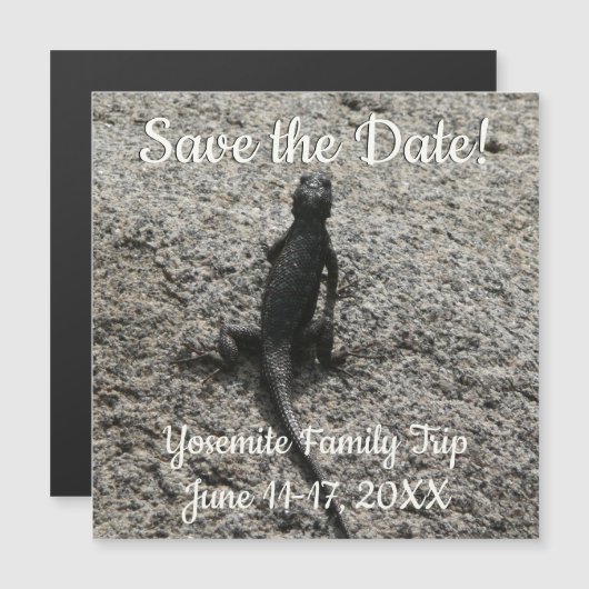 Carte Magnétique Lizard noir (Devant / Derrière)