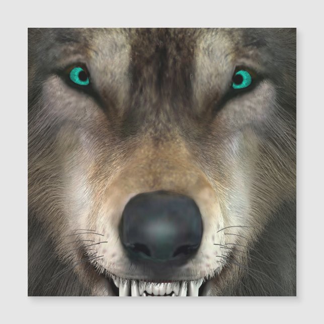Carte Magnétique Loup (Devant)