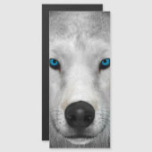 Carte Magnétique Loup Arctique (Devant / Derrière)