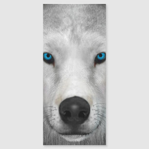 Carte Magnétique Loup Arctique