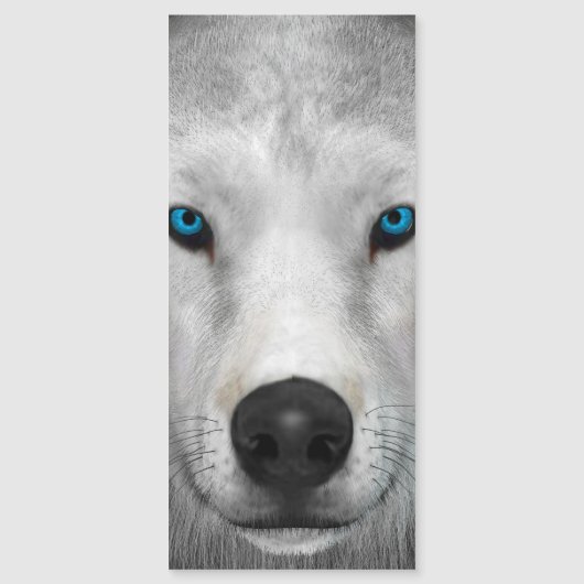 Carte Magnétique Loup Arctique (Devant)