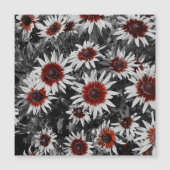 Carte Magnétique Magnétique Susans à oeil noir (Devant)