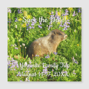 Carte Magnétique Marmot dans le Mont Rainier Fleurs sauvages