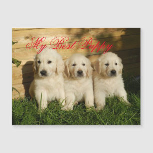 Carte Magnétique Mon meilleur chiot