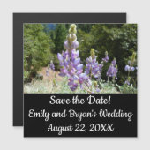 Carte Magnétique Mont Lupins (Devant / Derrière)