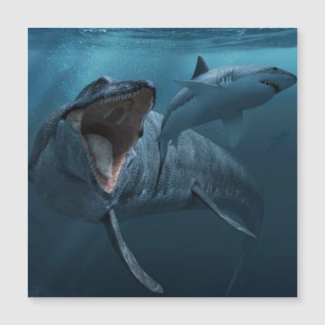 Carte Magnétique Mosasaurus pourchasse la photographie de requin (Devant)