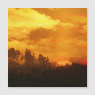 CARTE MAGNÉTIQUE NATURE AU LEVANT DU SOLEIL