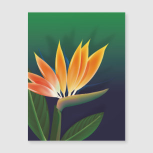 Carte Magnétique Oiseau de fleur de paradis