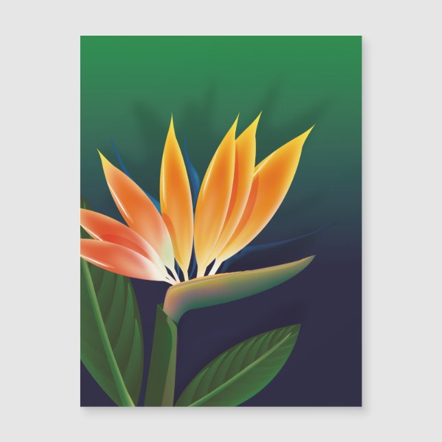 Carte Magnétique Oiseau de fleur de paradis (Devant)