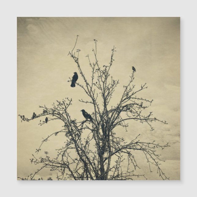 Carte Magnétique Oiseaux dans l'arbre   -     (Devant)