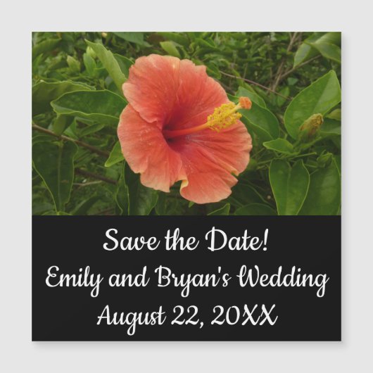 Carte Magnétique Orange Hibiscus Fleur Tropical Floral (Devant)