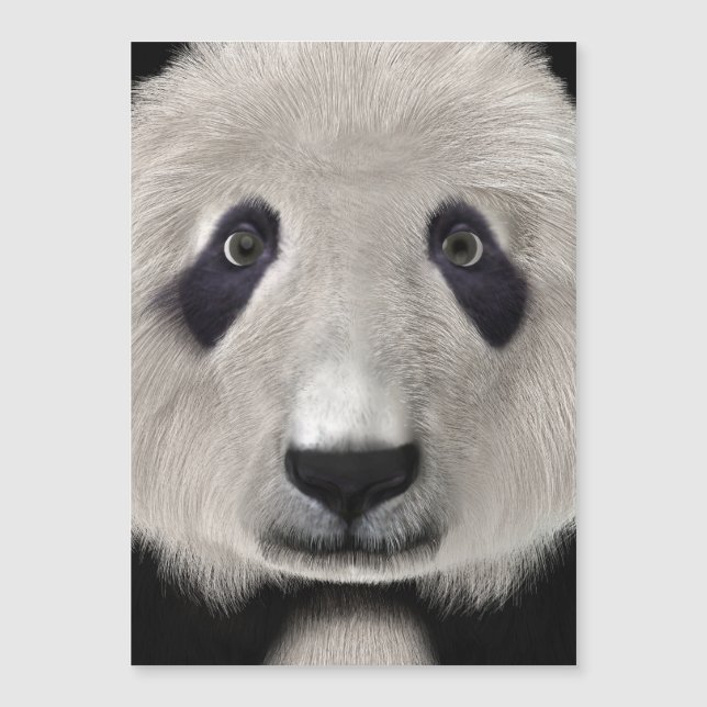 Carte Magnétique Ours Panda (Devant)