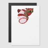 Carte magnétique Owl (Devant / Derrière)