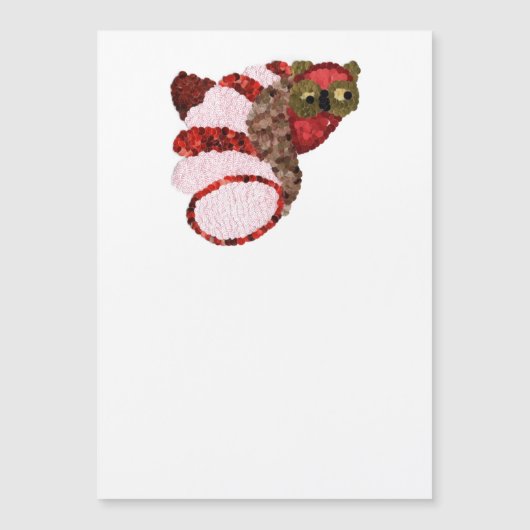 Carte magnétique Owl (Devant)