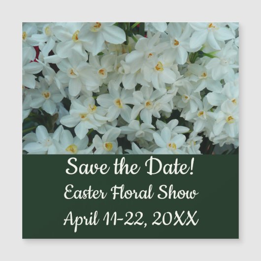 Carte Magnétique Paperwhite Narcissus Fleurs blanches délicates (Devant)