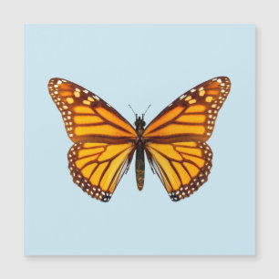 Carte Magnétique Papillon Monarque