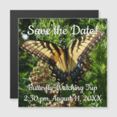 Carte Magnétique Papillon Swallowtail III Belle photo colorée (Devant / Derrière)