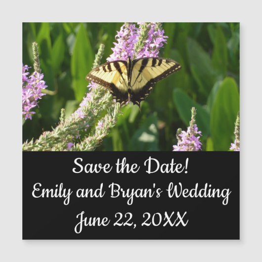 Carte Magnétique Papillon Swallowtail sur Fleurs sauvages pourpres (Devant)