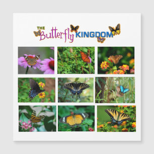 Carte magnétique papillon World