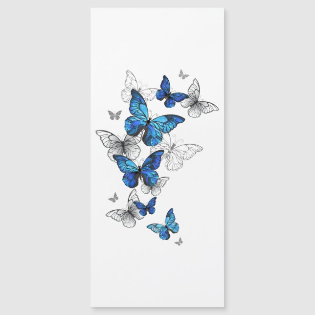 Carte Magnétique Papillons volants bleus Morpho (Devant)