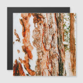 Carte Magnétique Paysage d'hiver à Bend - Oregon  (Devant / Derrière)