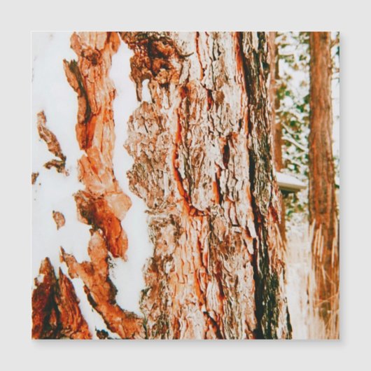 Carte Magnétique Paysage d'hiver à Bend - Oregon  (Devant)