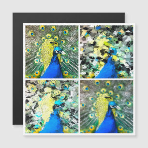 Carte magnétique Peacock Art