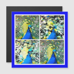 Carte magnétique Peacock Art