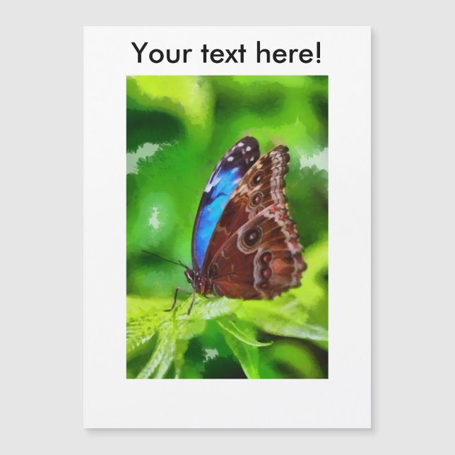 Carte Magnétique Peinture à papillon (Devant)