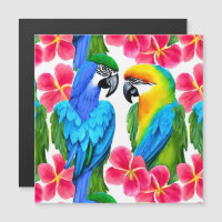 Perroquets colorés aux fleurs tropicales jettent P