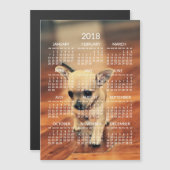Carte magnétique photo Calendrier Chihuahua 2018 5 (Devant / Derrière)