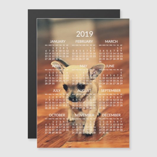 Carte magnétique photo Calendrier Chihuahua 2019 5 (Devant / Derrière)