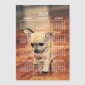 Carte magnétique photo Calendrier Chihuahua 2019 5 (Devant)