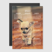 Carte magnétique photo Calendrier Chihuahua 2023 (Devant / Derrière)