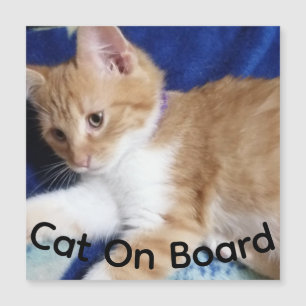 Carte Magnétique photo de chat roux à bord, aimant de voiture