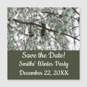 Carte Magnétique Photo hivernale sous le pin couvert de neige