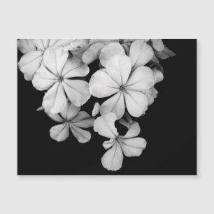 Carte Magnétique Photographie de fleurs en noir et blanc