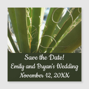 Carte Magnétique Photographie de la nature verte Feuille du Yucca