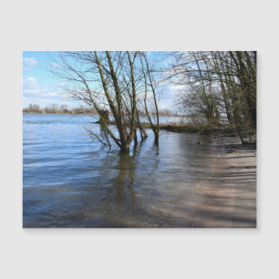 Carte Magnétique Places perdues, Arbres sur la rive de la rivière