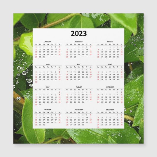 Carte Magnétique Pluie Sur Spiderweb 2023 Calendrier magnétique (Devant)