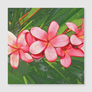 Carte Magnétique Plumerias