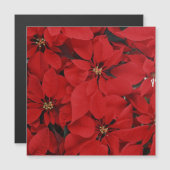 Carte Magnétique Poinsettias pour Noël (Devant / Derrière)