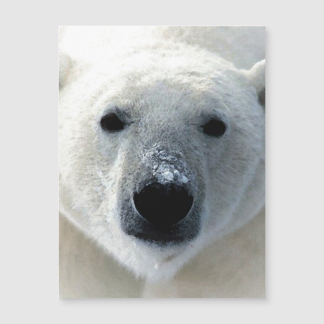 Carte Magnétique Polar Bear Magnetic Card (Devant)